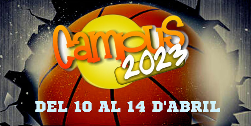 bannerweb2023